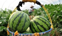 带你吃瓜,揭秘娱乐圈那些不为人知的幕后故事