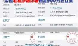 网红大瓜小说免费阅读 今日爆料,今日爆料，免费阅读小说背后的秘密